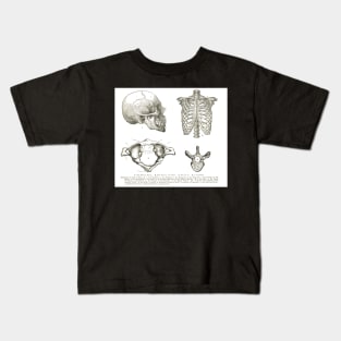 Human anatomy, 19th century diagrams, Human Skull, Thorax, The Atlas, and Vertebra Kids T-Shirt